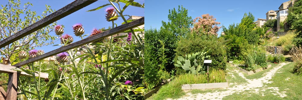 Couleurs Garance en Luberon