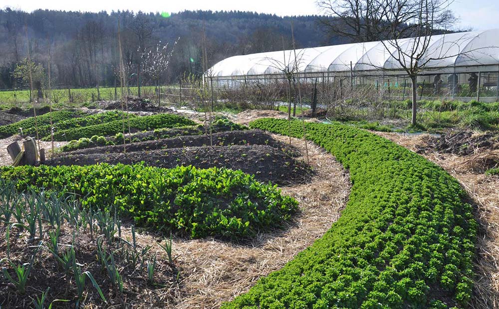 Permaculture au Bec Hellouin