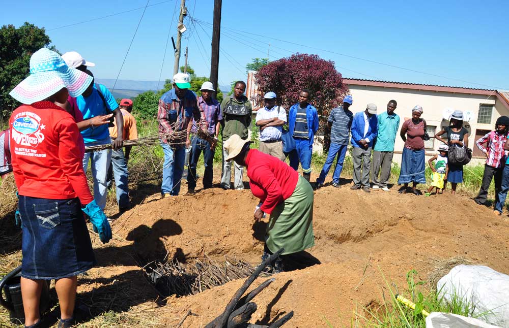 Demo-garden for the patient of the testing center for HIV/AIDS in Piggs Peak Hospital.