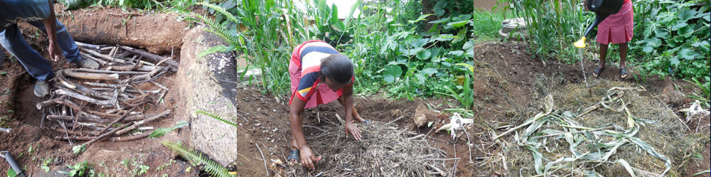 Creation of a fertile raised-bed: wood bed, carbon material and azotic material